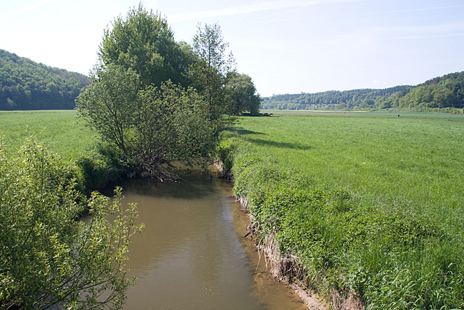 Wiesengelände von Lindenholzhausen - Emsbach (2010)