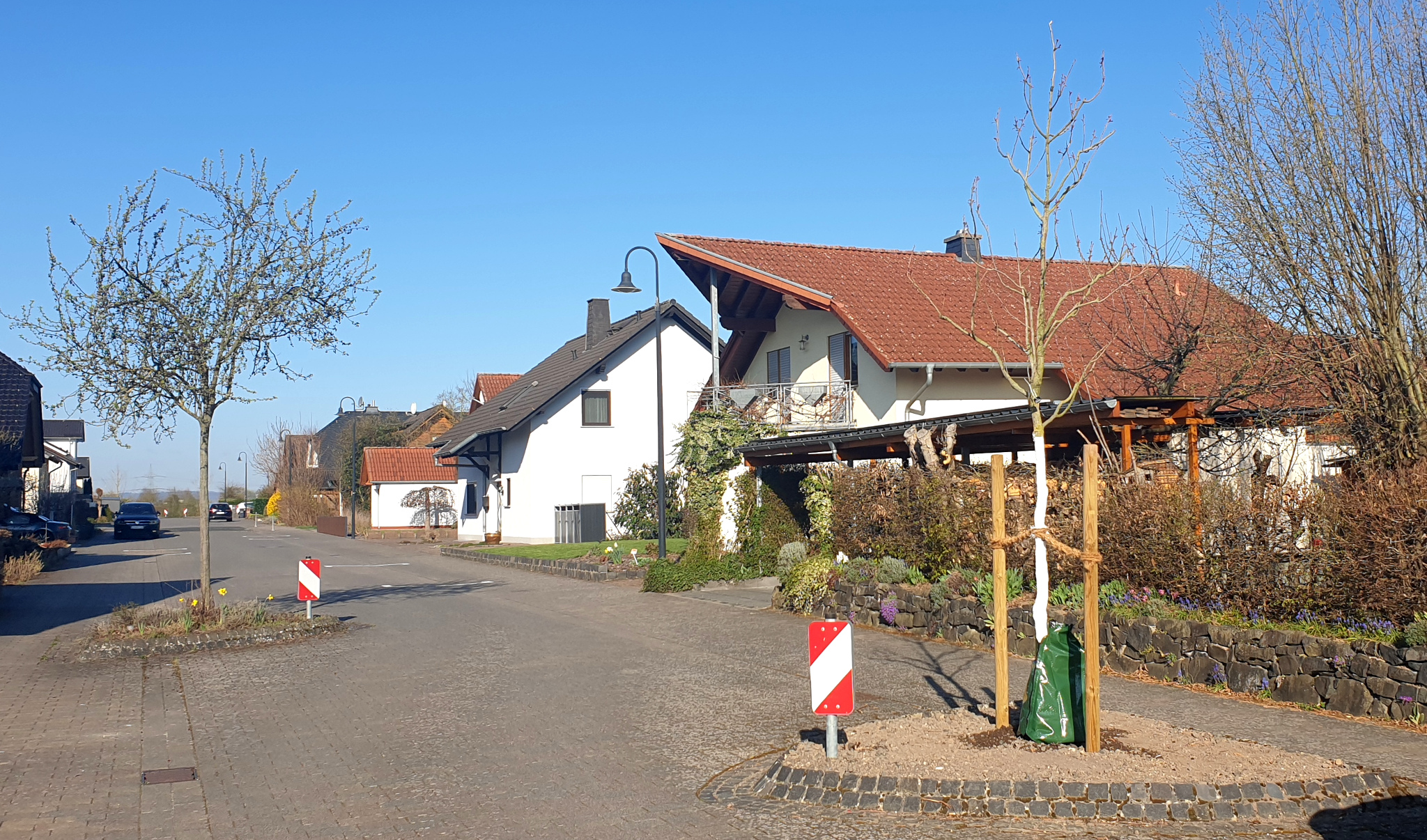 250401 baum Krautgaerten